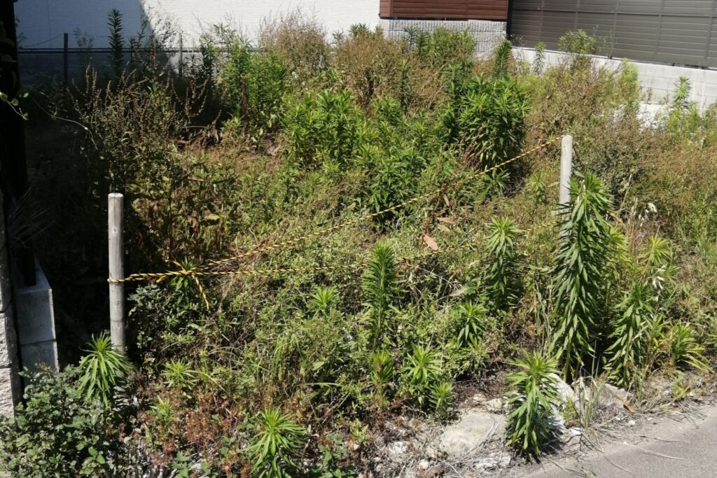 市街地の負担金相続土地国庫帰属制度