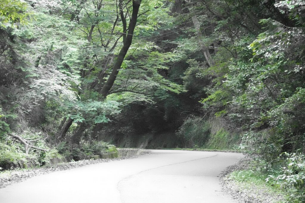 高知県不動産処分業者