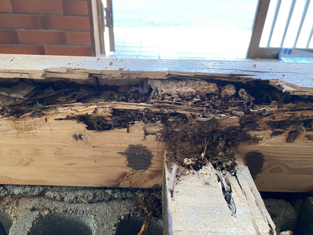 高知県空き家解体補助金通らない理由