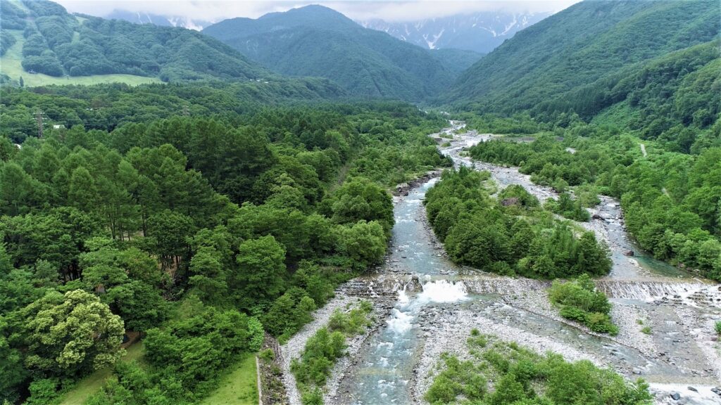 高知県山林境界
