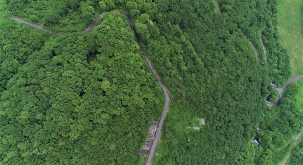 高知県山林境界不明