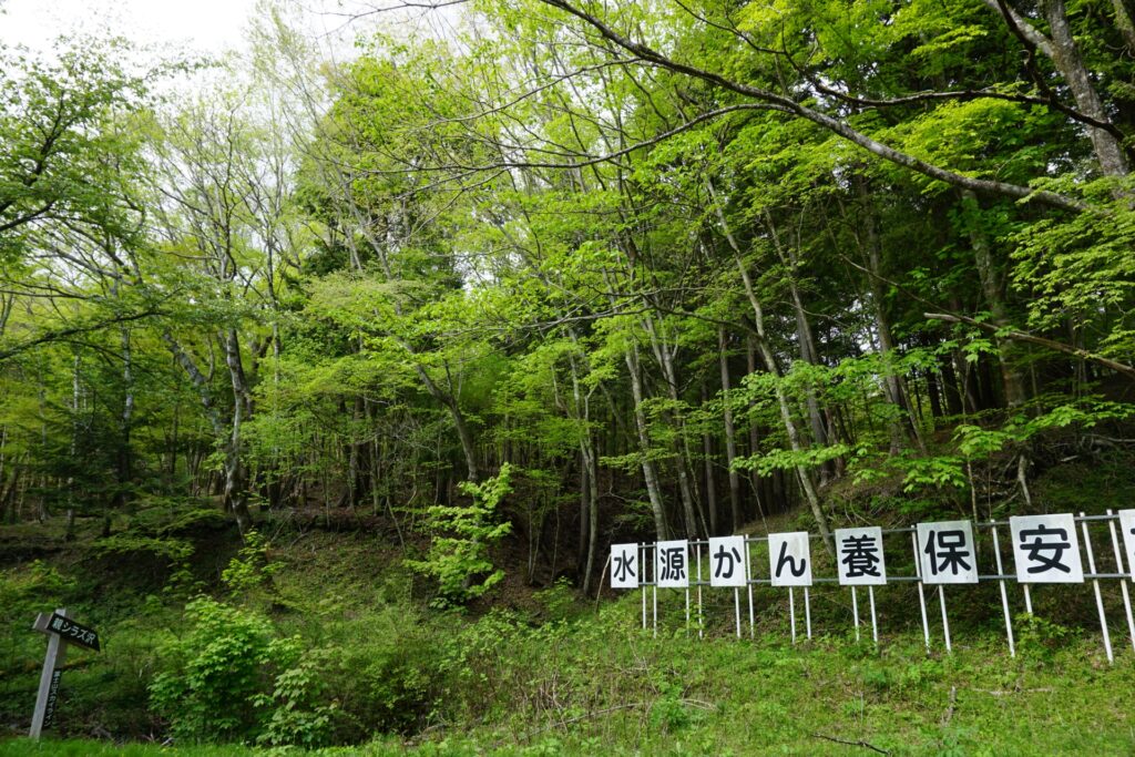 山林と保安林の違い
