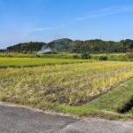 農地法と農振法の違い