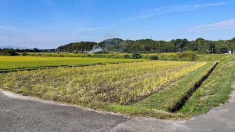 農地法と農振法の違い