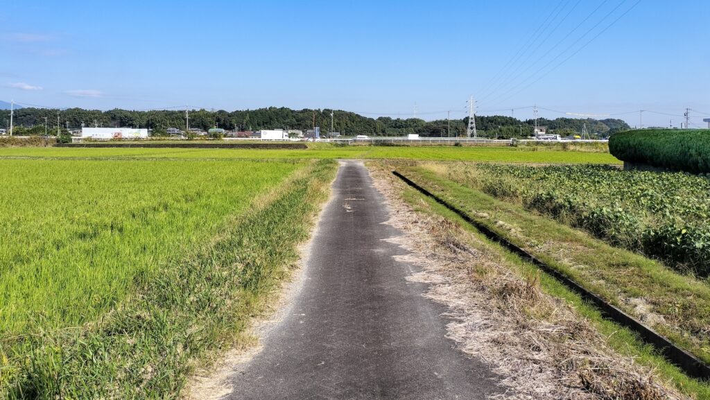 農地法と農振法の違い