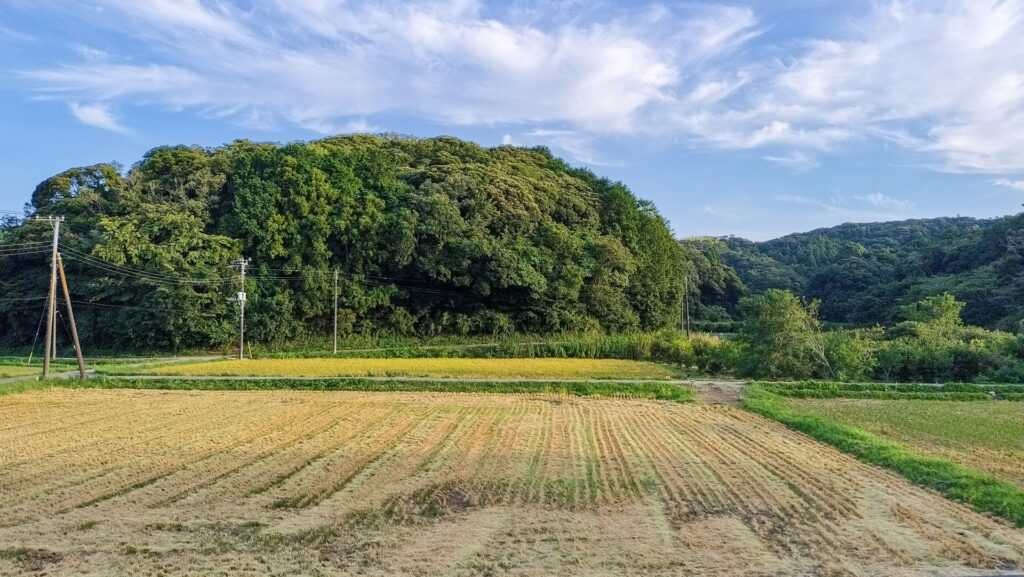 農地法と農振法の違い