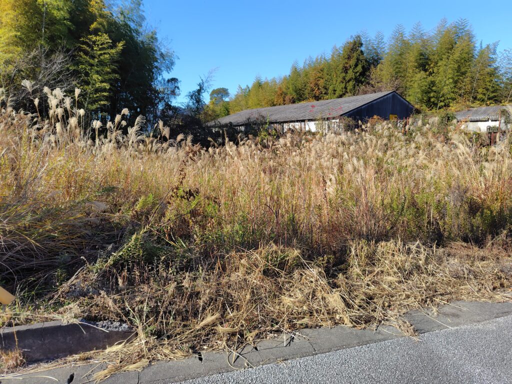 遠い先祖の土地