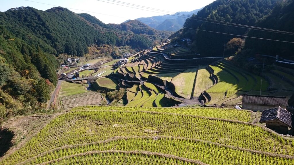津野町不動産整理・処分