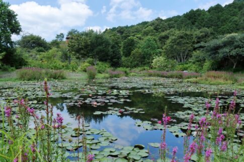 三原村不動産整理・処分