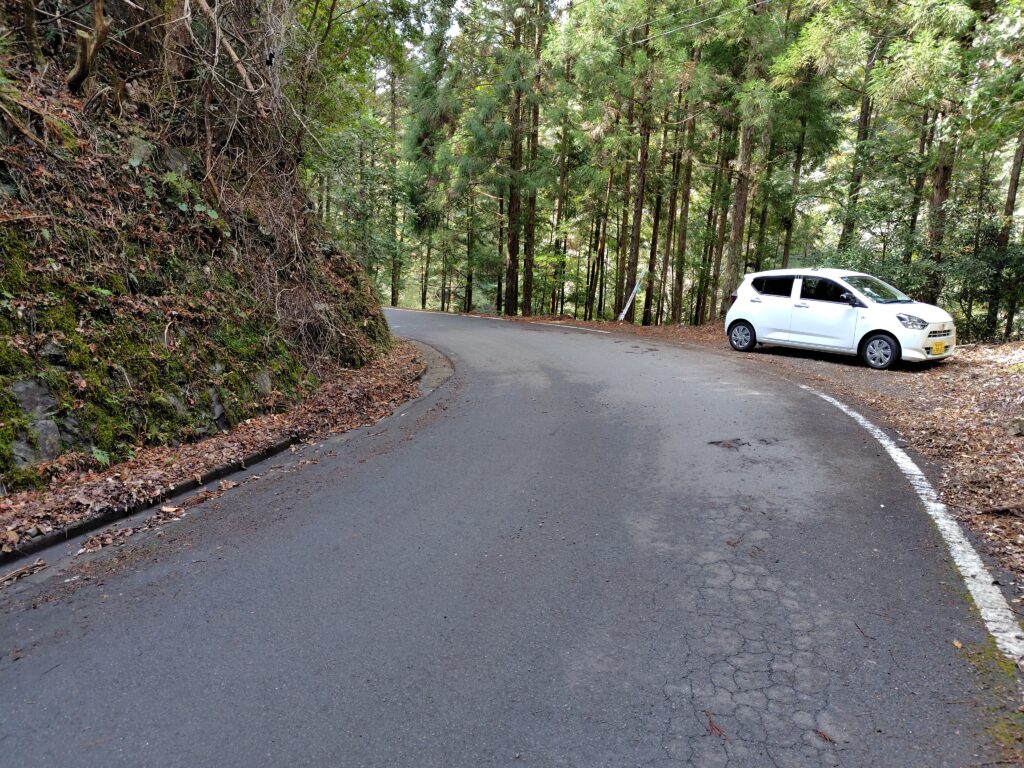 高知県安芸市古井|令和7年地籍調査済み山林