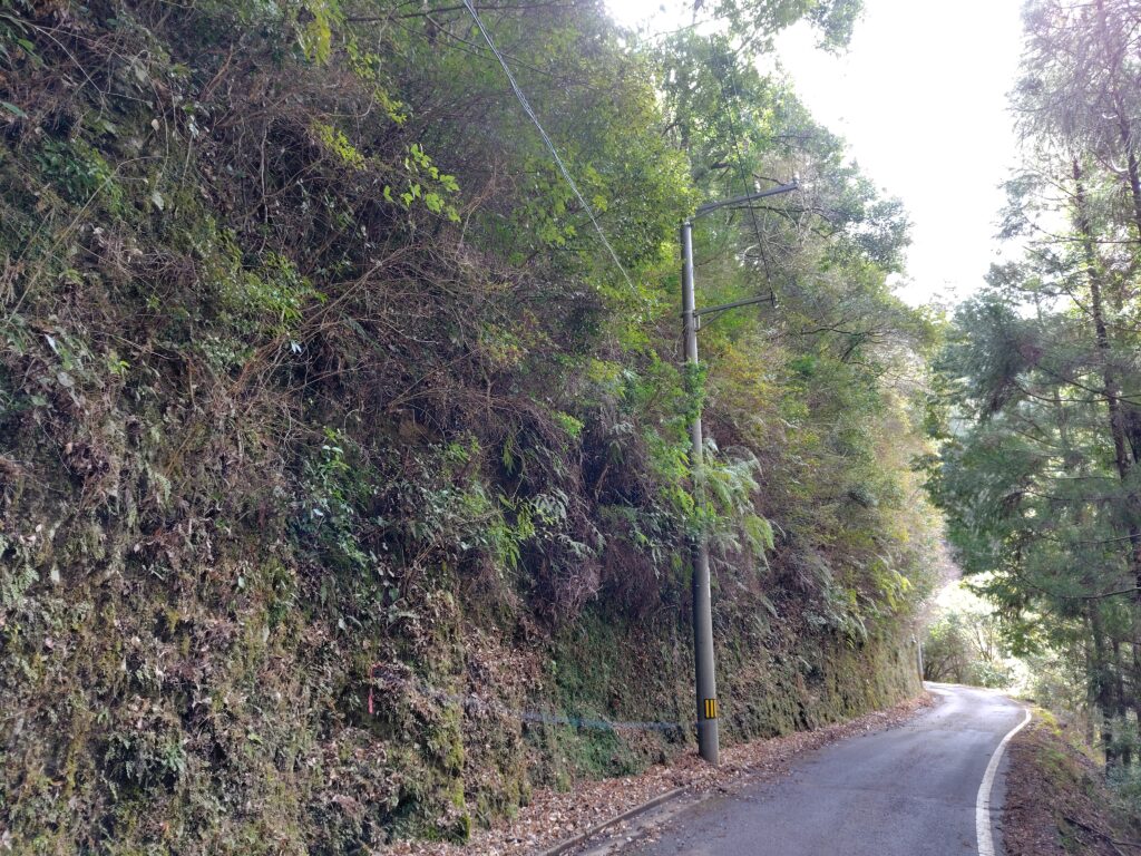 高知県安芸市古井|令和7年地籍調査済み山林