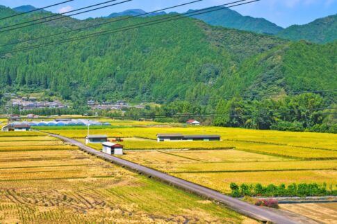 本山町不動産整理・処分