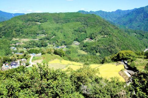 大豊町不動産整理・処分