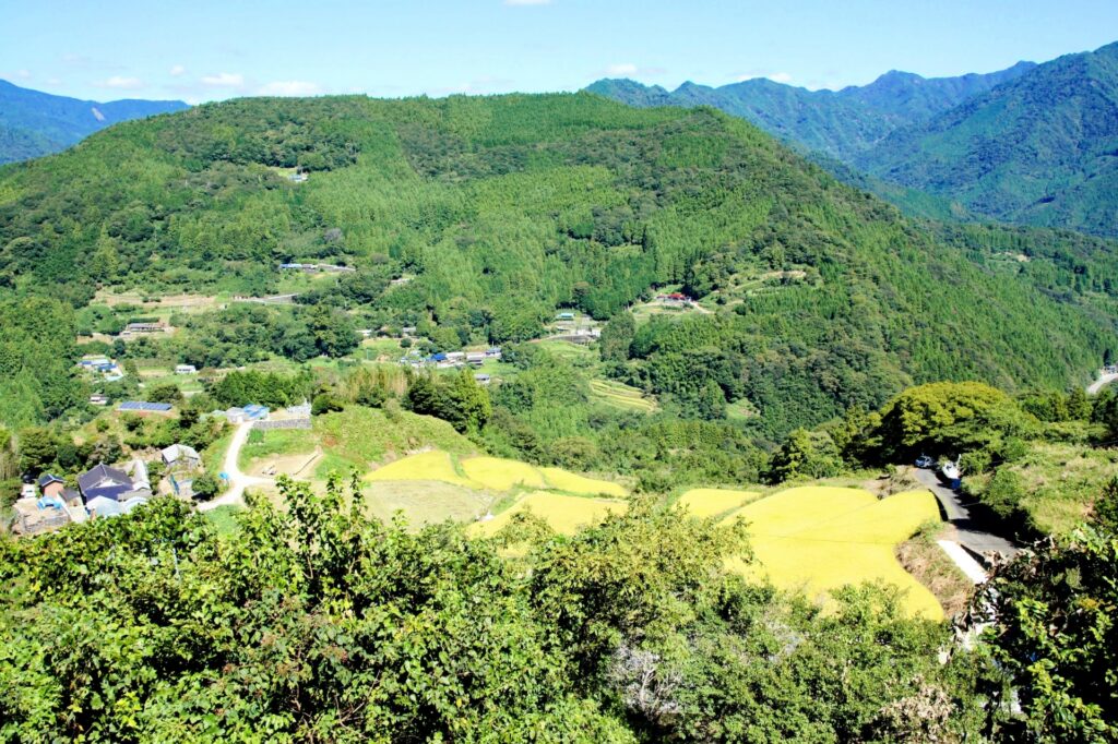 大豊町不動産整理・処分