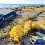 0円畑高知県安芸市川北