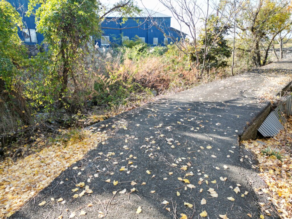 0円畑高知県安芸市川北