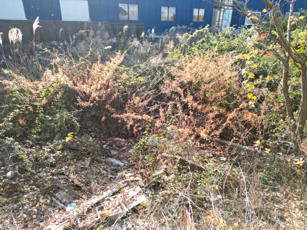 0円畑高知県安芸市川北