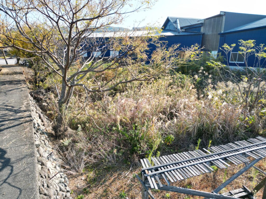 0円畑高知県安芸市川北