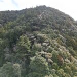 高知県安芸市古井｜令和7年地籍調査済み山林