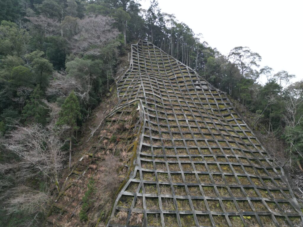 高知県安芸市古井|令和7年地籍調査済み山林