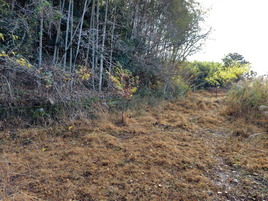 安芸市川北乙山林0円