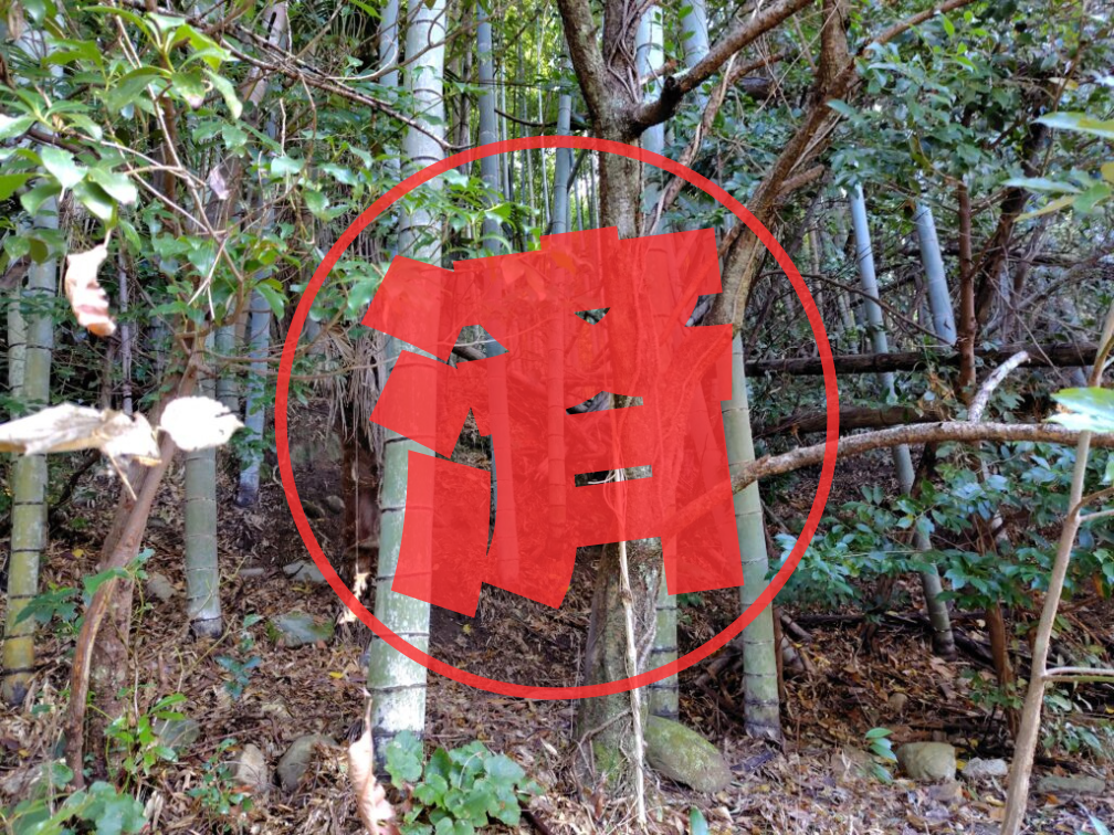 0円高知県安芸市川北乙竹林