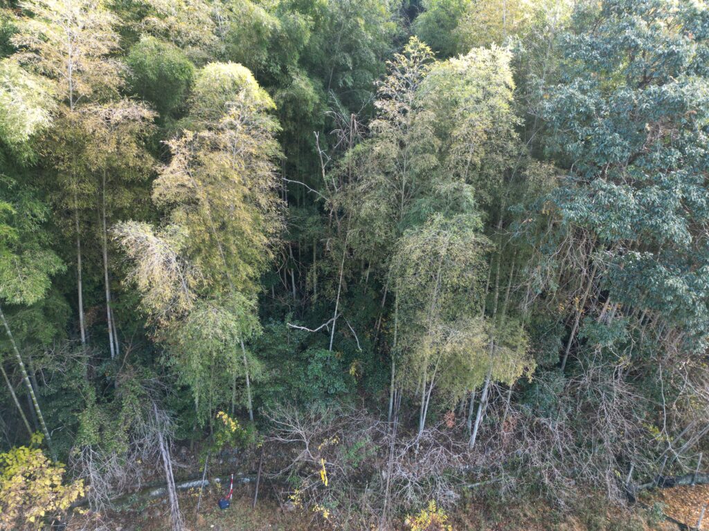 安芸市川北乙山林無料