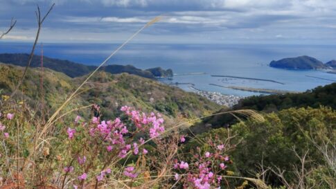 土佐市不動産整理・処分