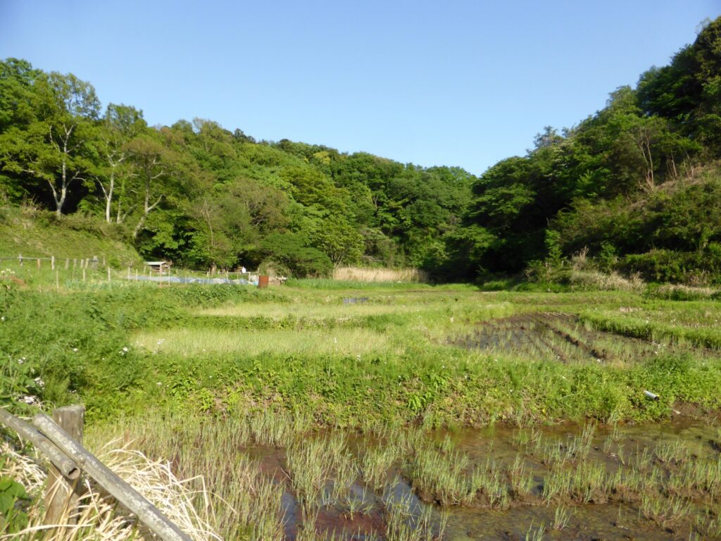 売れない土地高知県