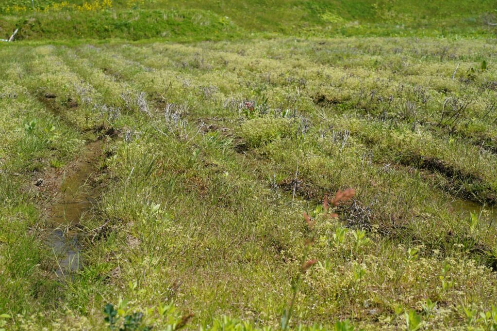 相続放棄農地高知県