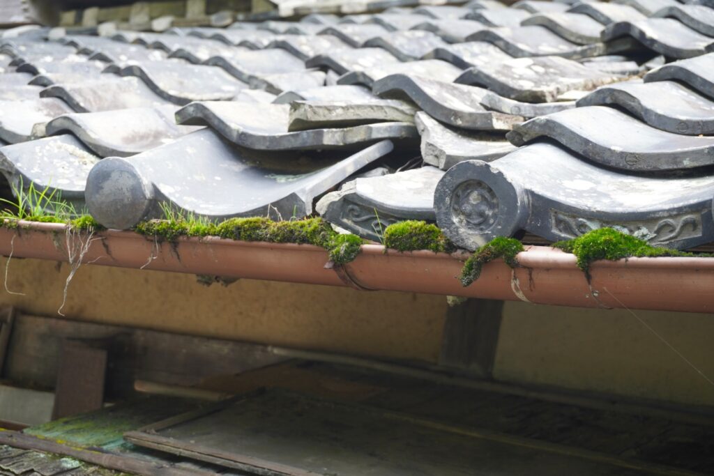 借地権建物所有者・相続人不明