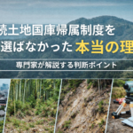 相続土地国庫帰属制度を使わない理由