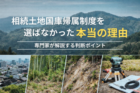 相続土地国庫帰属制度を使わない理由