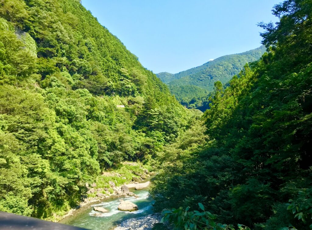 相続土地国庫帰属制度を使わない理由