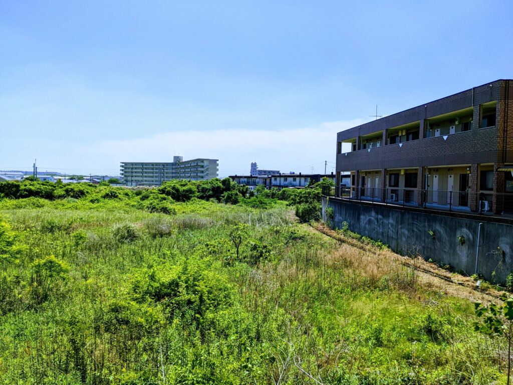 高知市の放置された空地