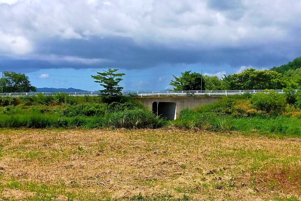 相続土地国庫帰属を申請した高知の農地