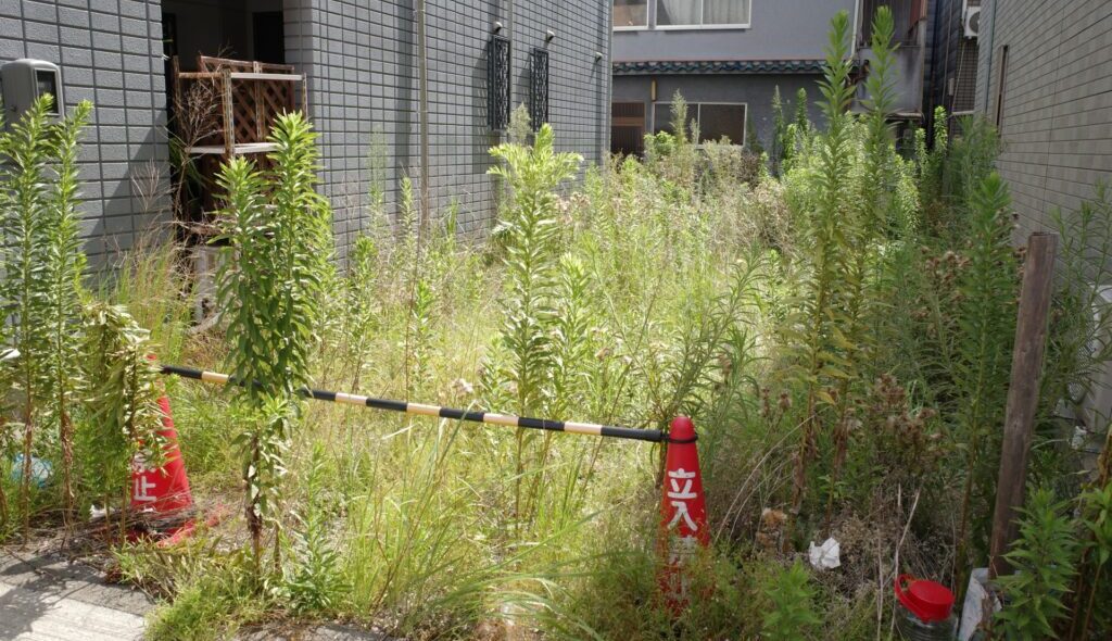 高知市の郊外にある空地