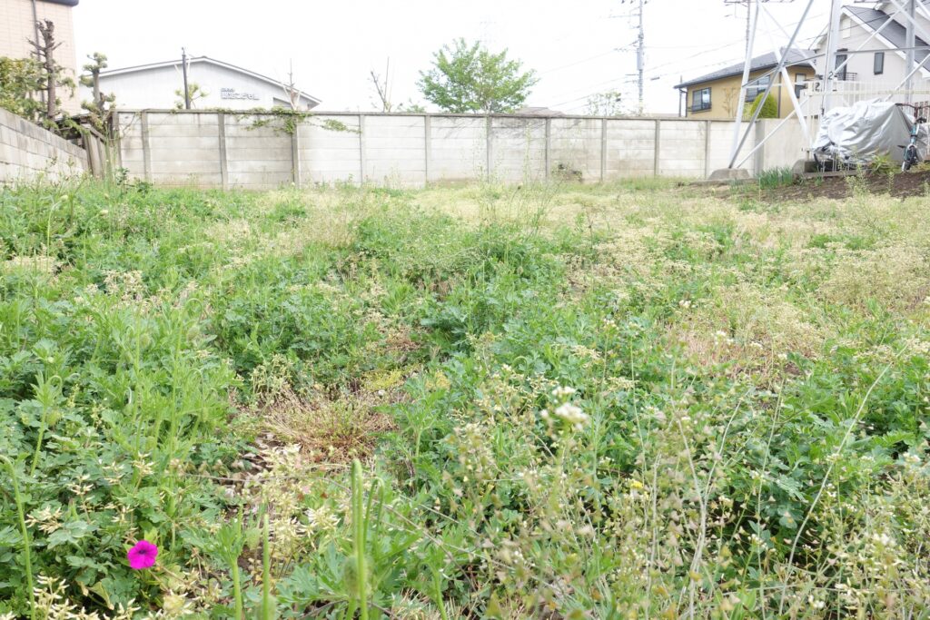 須崎市の放置された空地