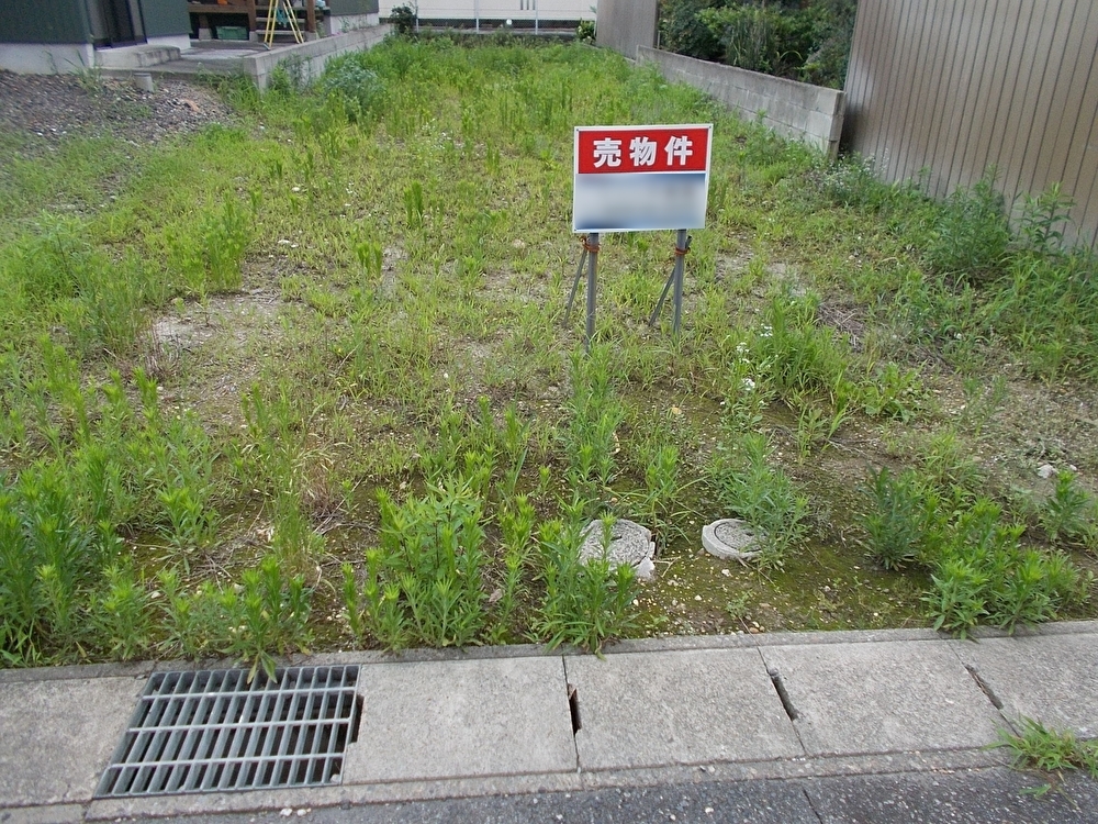 南国市の放置された空地