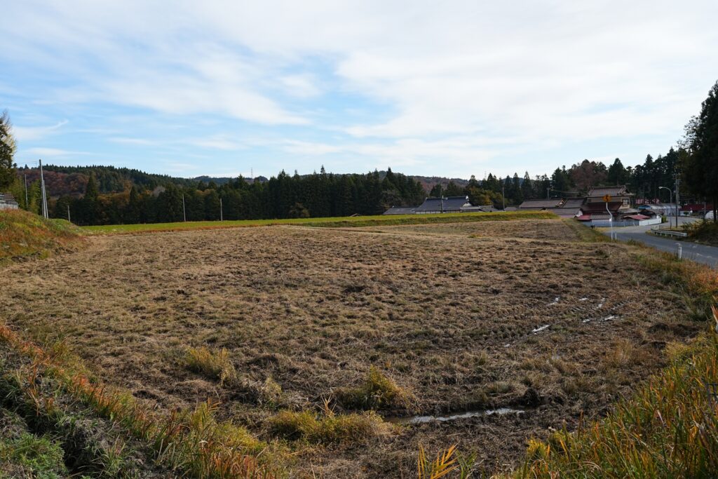 いの町の耕作放棄地