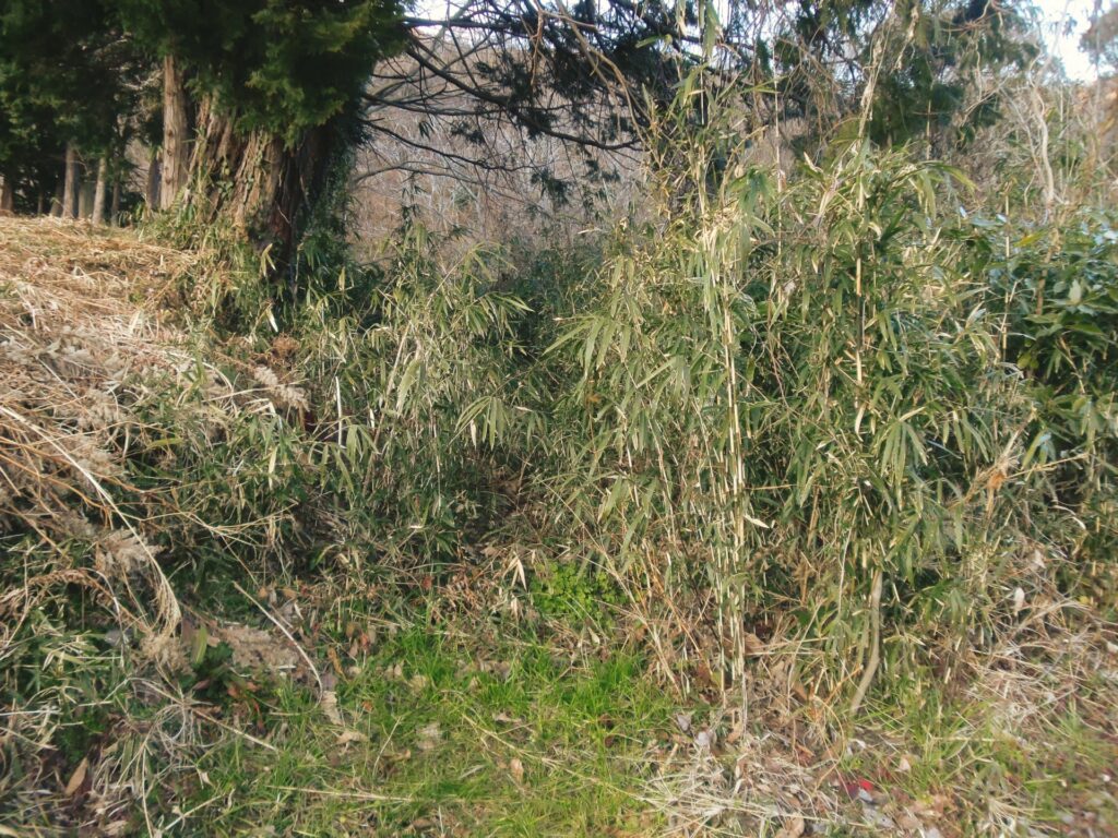 三原村にある管理できない雑種地