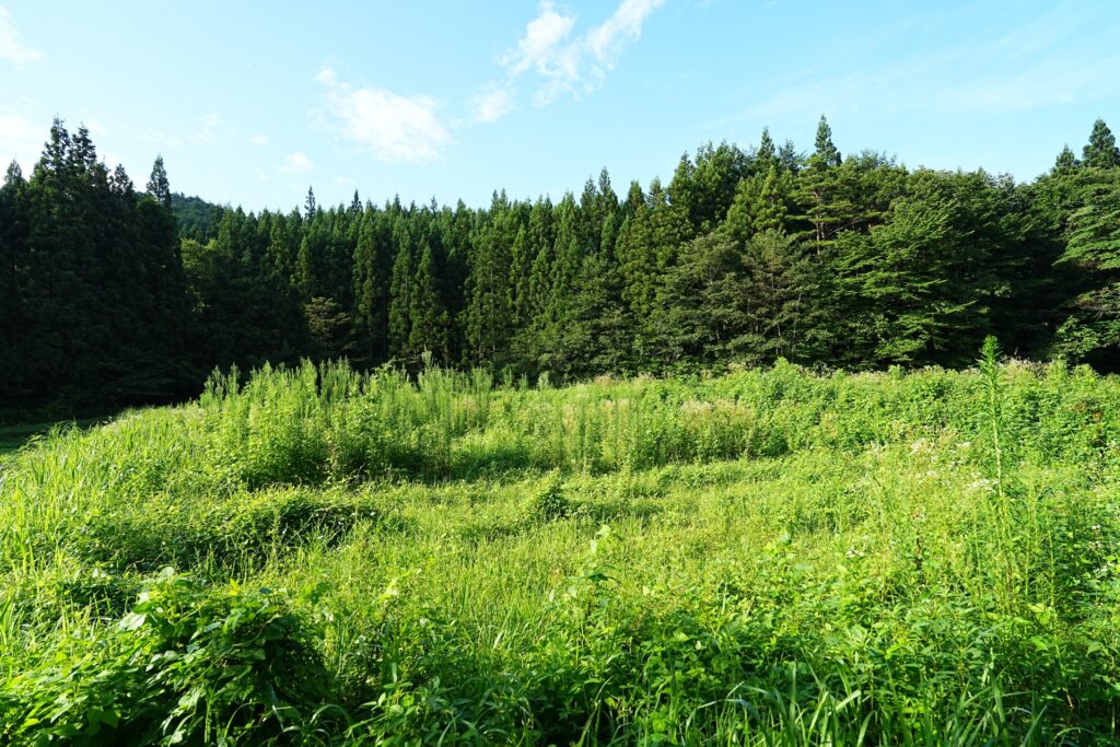 三原村にある相続した農地