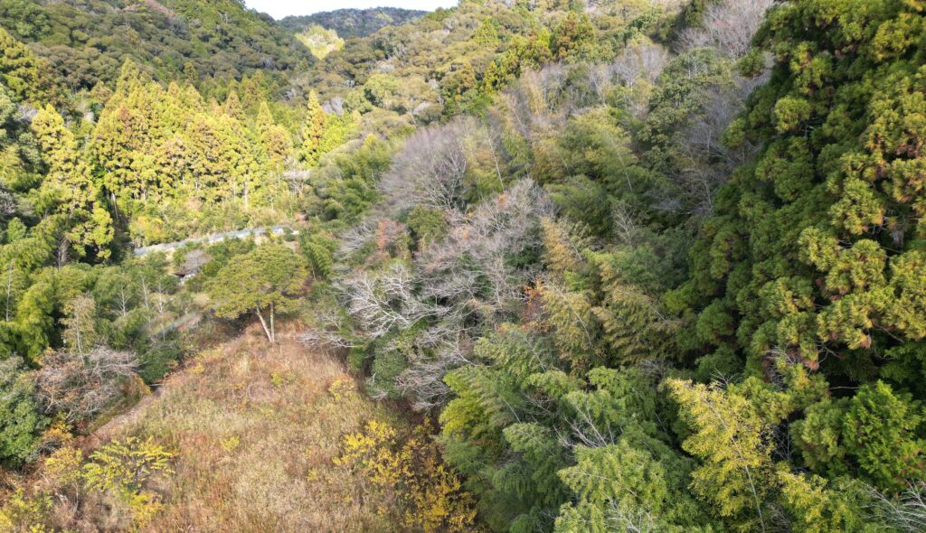 南国市の管理不全山林ドローン撮影