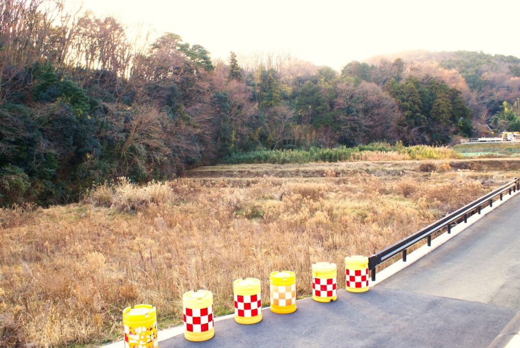 高知市の耕作放棄地