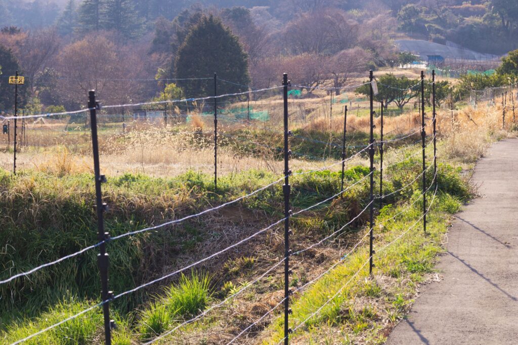 南国市の耕作放棄地