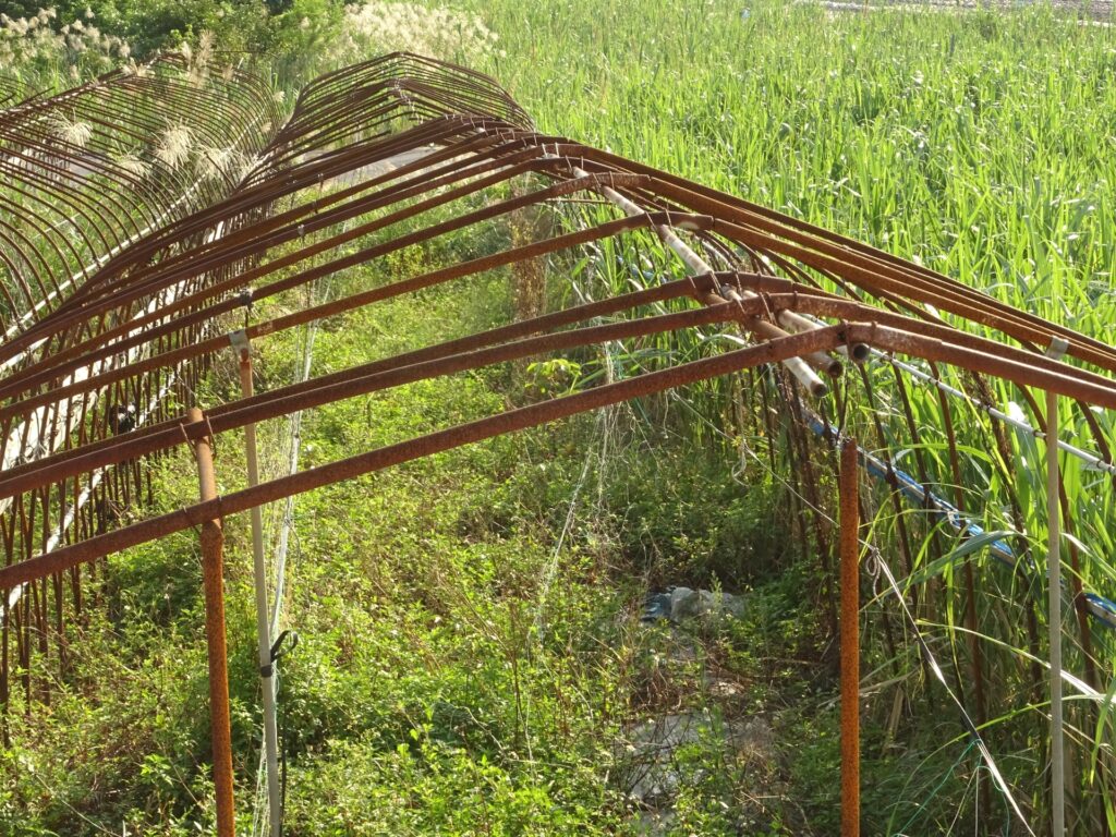 須崎市の耕作放棄地