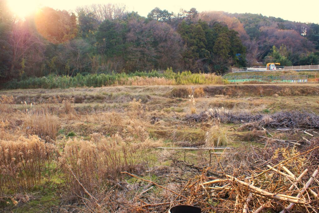 土佐市の耕作放棄地
