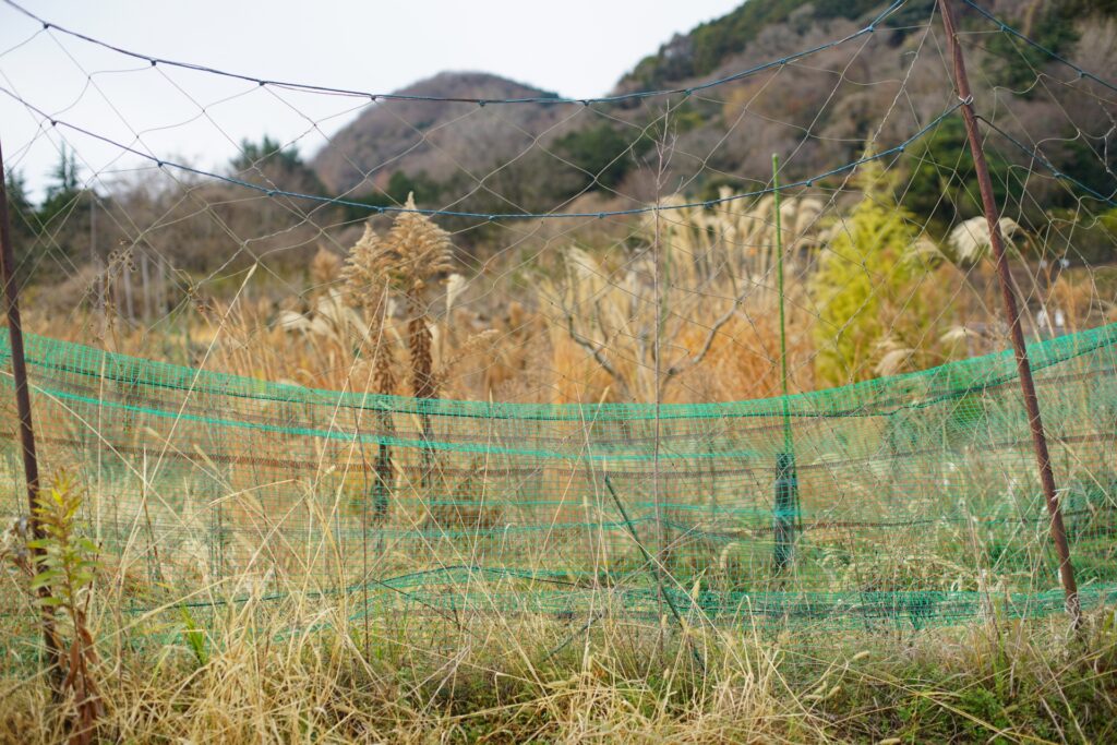 越知町にある耕作放棄地
