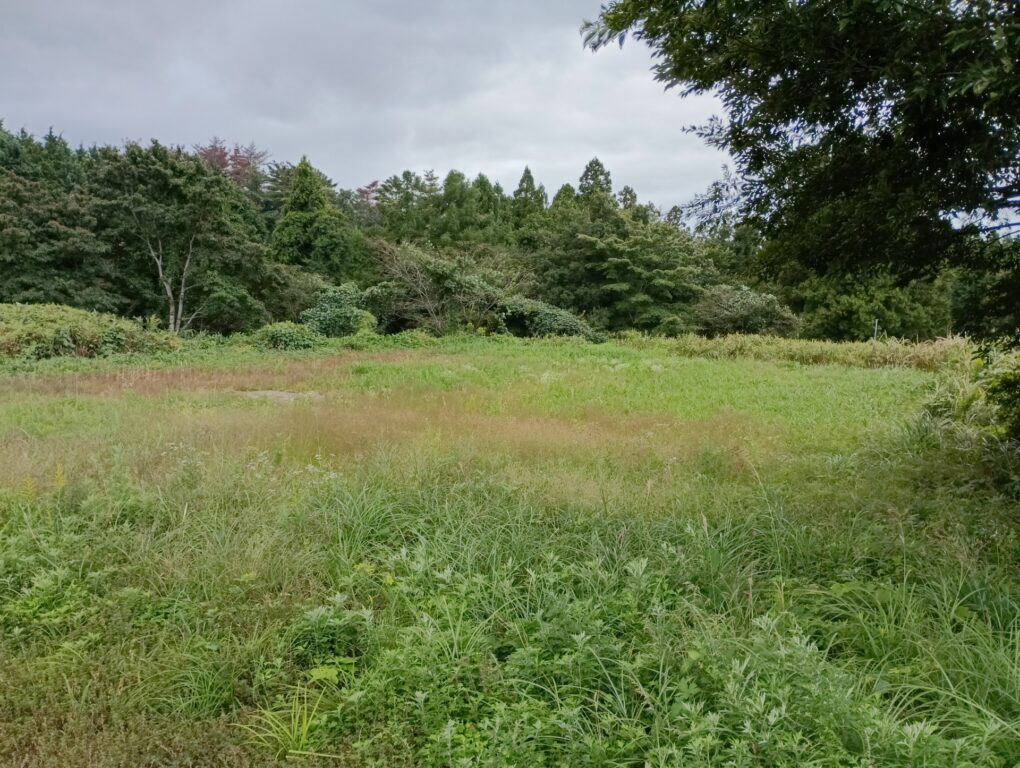 佐川町で相続した農地