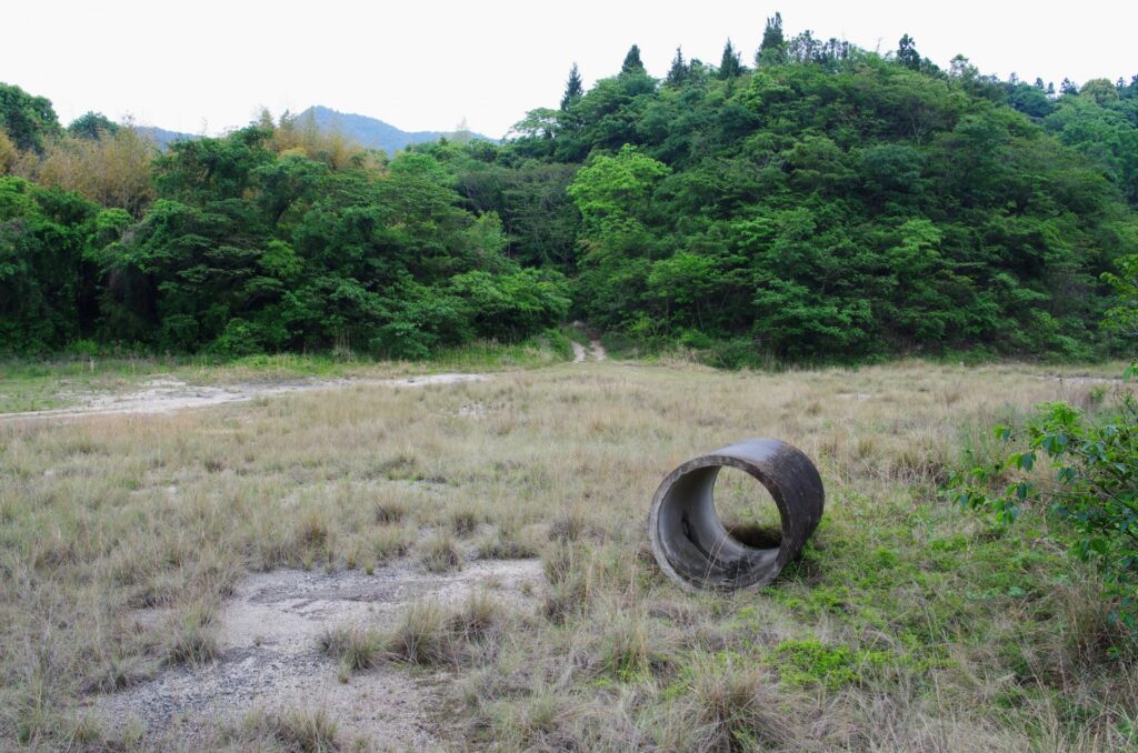 土佐市中山間地域の相続山林